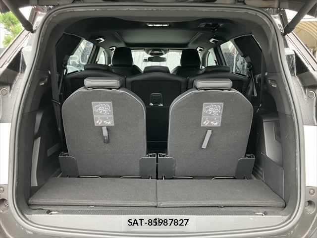 Peugeot 5008 2019-01 7393531-9