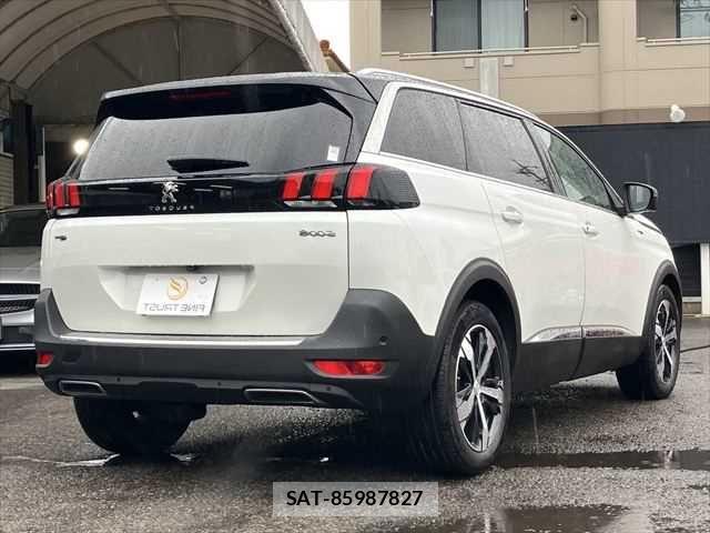 Peugeot 5008 2019-01 7393531-18