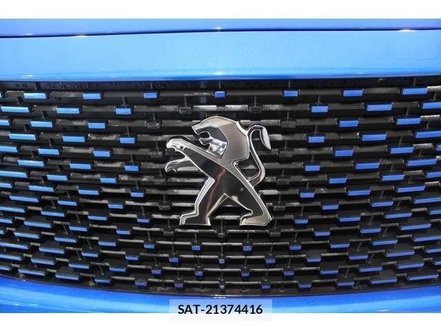Peugeot 2008 2024-03 1208057-12