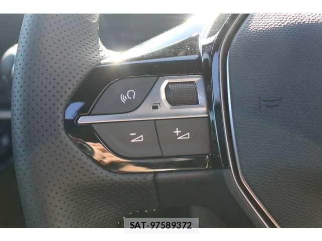 Peugeot 2008 2024-11 2213963-12