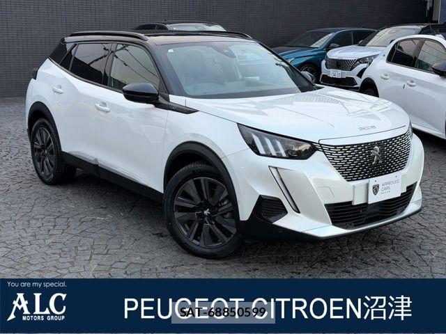 Peugeot 2008 2025-03 7223506-0