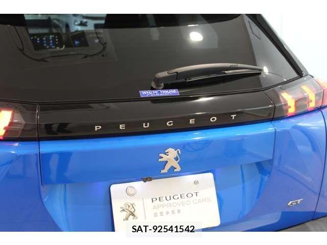 Peugeot 2008 2025-03 7329313-14