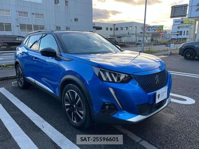 Peugeot 2008 2020-12 7329311-7