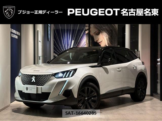 Peugeot 2008 2025-03 7619170-0