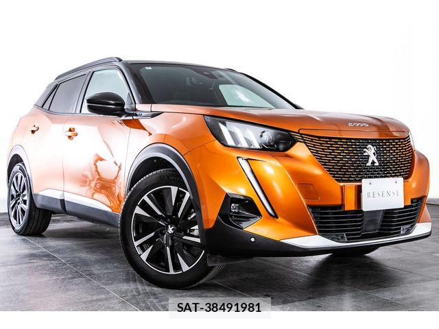 Peugeot 2008 2022-09 8209515-14