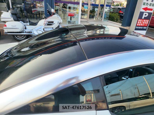 Peugeot RCZ 2010-09 8209517-19