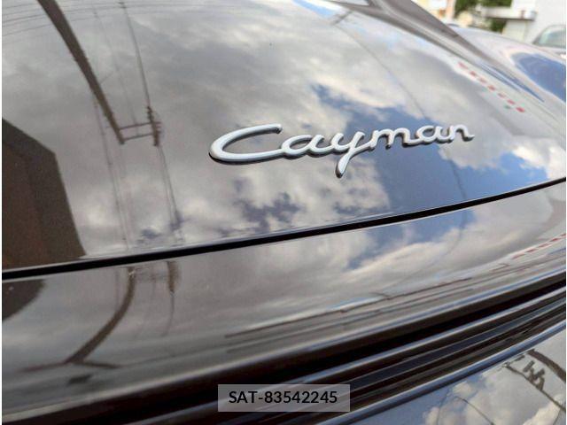Porsche CAYMAN 2011-01 1332623-12