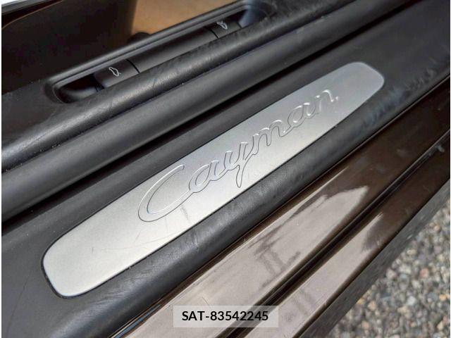 Porsche CAYMAN 2011-01 1332623-7