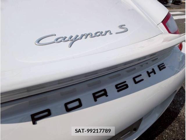 Porsche CAYMAN 2006-07 6911151-12