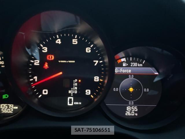 Porsche CAYMAN 2015-02 8414377-11