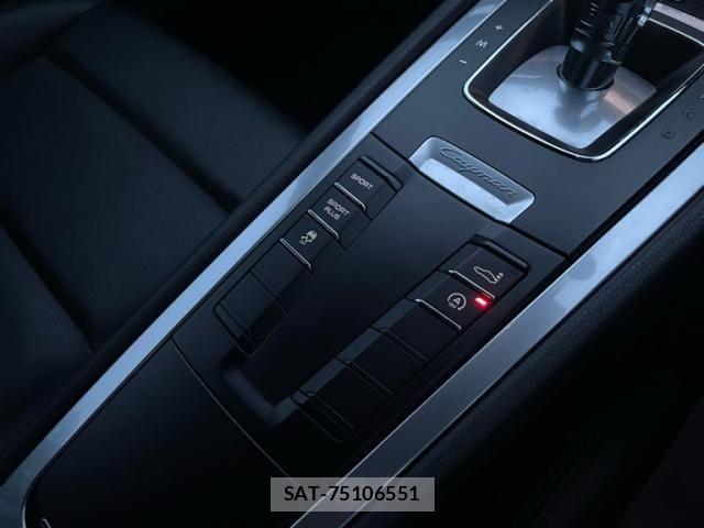 Porsche CAYMAN 2015-02 8414377-18