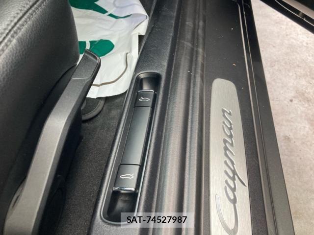 Porsche CAYMAN 2015-10 8781619-15