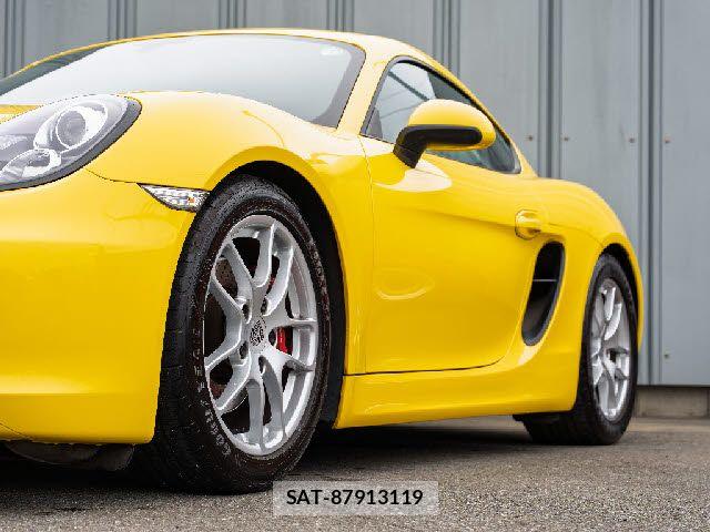 Porsche CAYMAN 2013-06 7329354-10