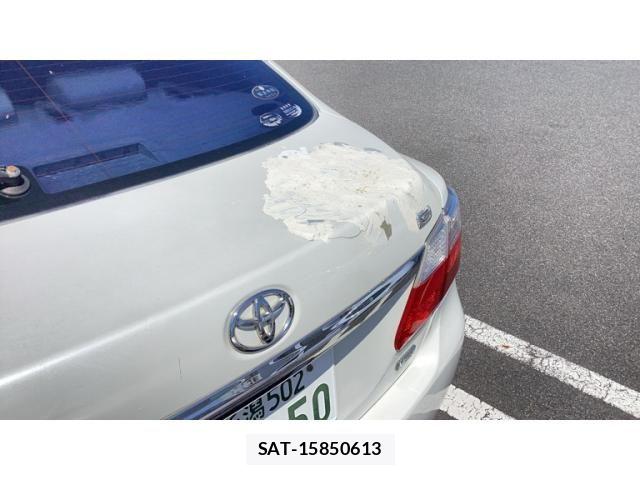 Toyota PREMIO 2010-02 8337403-8