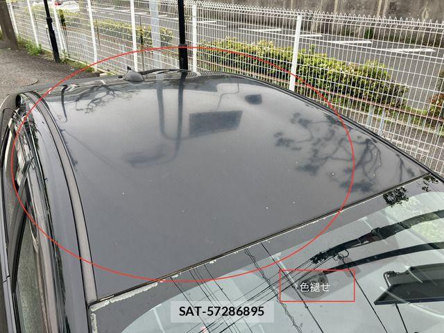 Toyota PRIUS 2010-12 6682825-16