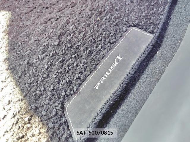 Toyota PRIUS ALPHA 2013-09 8101385-20