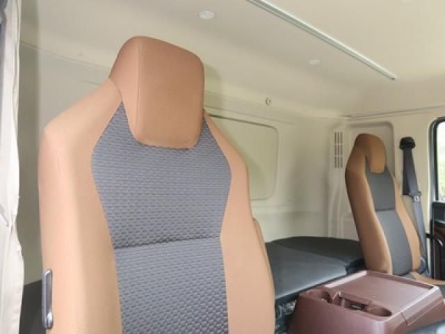 Hino PROFIA 2018-09 6596771-29