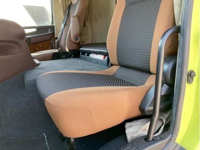 Hino PROFIA 2021-03 7199656-21