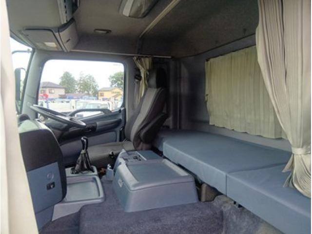 Hino PROFIA 2010-06 7306695-19
