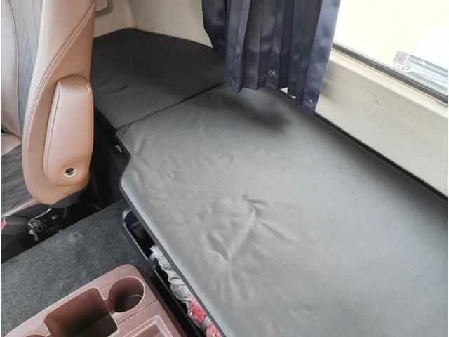 Hino PROFIA 2020-08 7606918-20