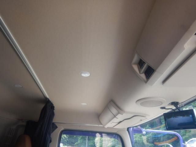 Hino PROFIA 2021-01 7710351-19