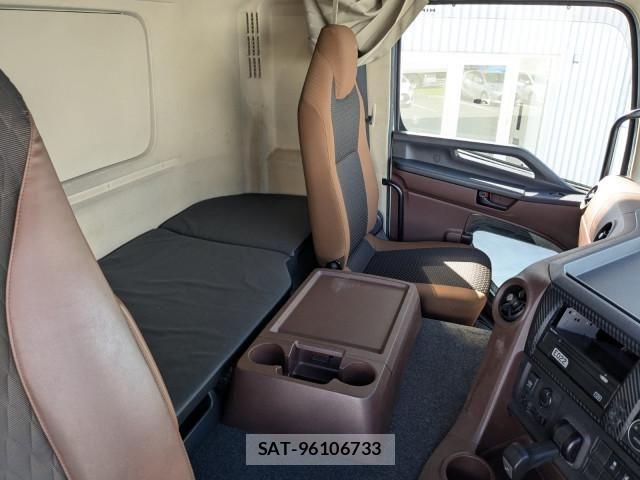 Hino PROFIA 2021-06 7963378-15