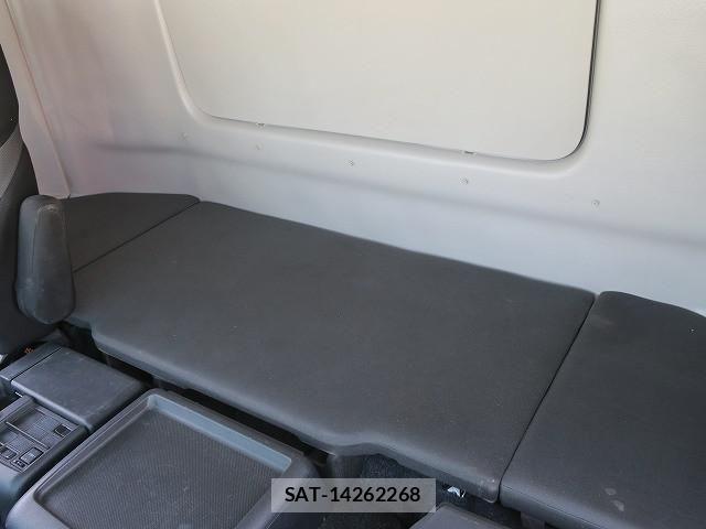 Hino PROFIA 2013-12 8101436-19