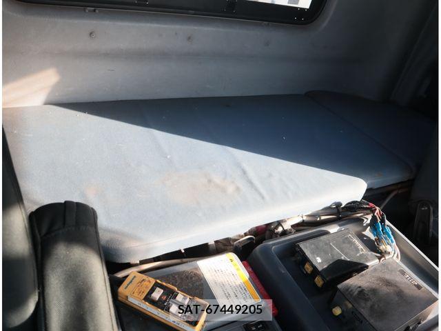 Hino PROFIA 2009-03 8132010-23