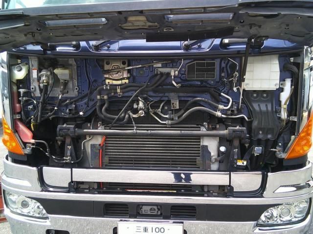 Hino PROFIA 2010-11 8331965-18
