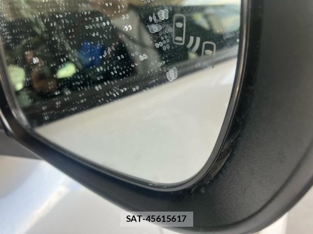Toyota RAIZE 2025-04 7980743-19