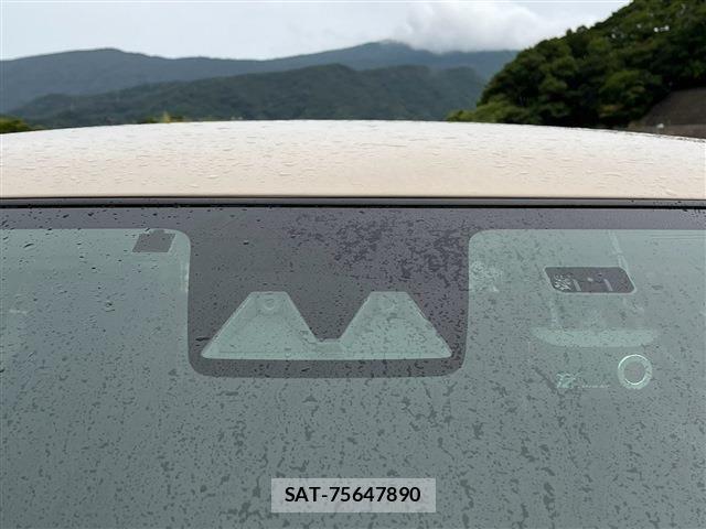 Toyota RAIZE 2024-02 8745442-29