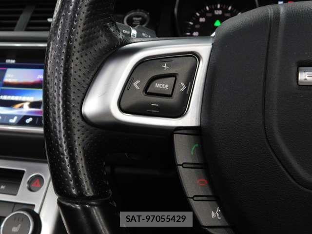 ROVER RANGE ROVER 2017-01 1355528-19