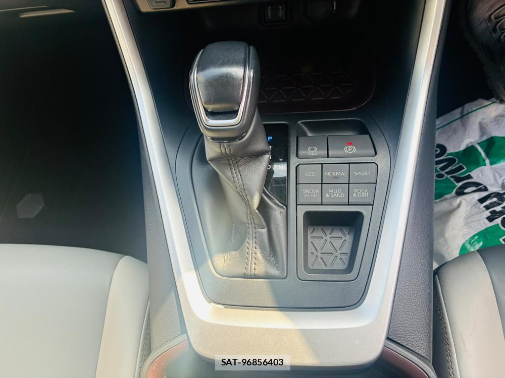 Toyota RAV4 2019-04 7648104-18
