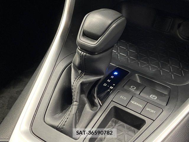Toyota RAV4 2019-07 7359510-19
