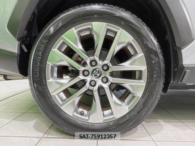 Toyota RAV4 2019-04 523248-13