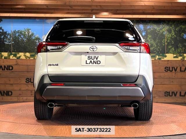 Toyota RAV4 2019-06 533882-17