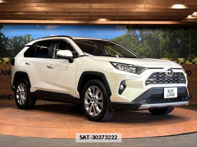 Toyota RAV4 2019-06 533882-18