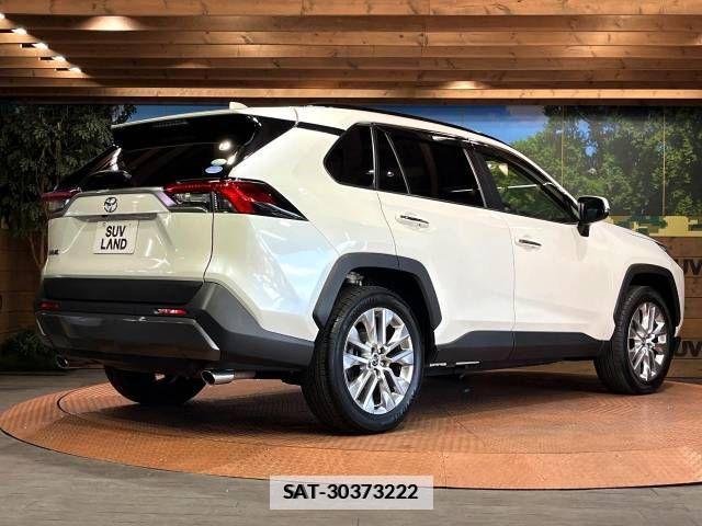 Toyota RAV4 2019-06 533882-19