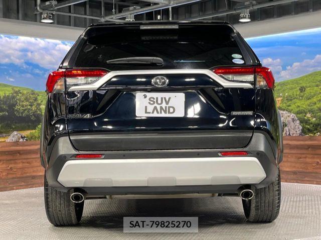 Toyota RAV4 2019-06 6016983-14