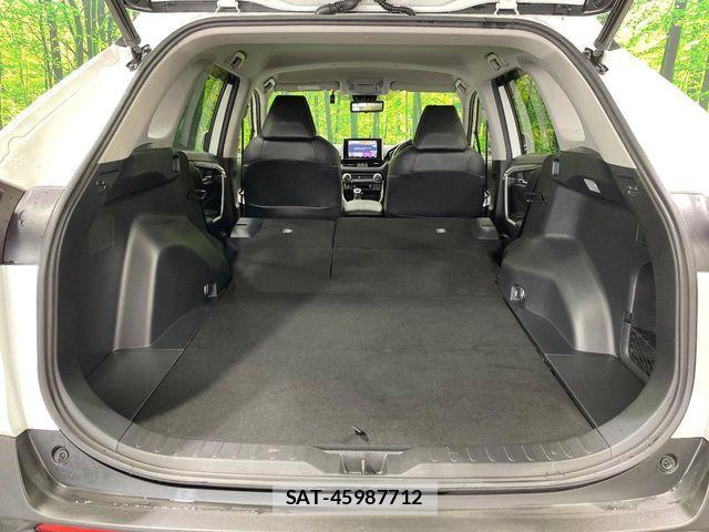 Toyota RAV4 2019-08 6218916-10