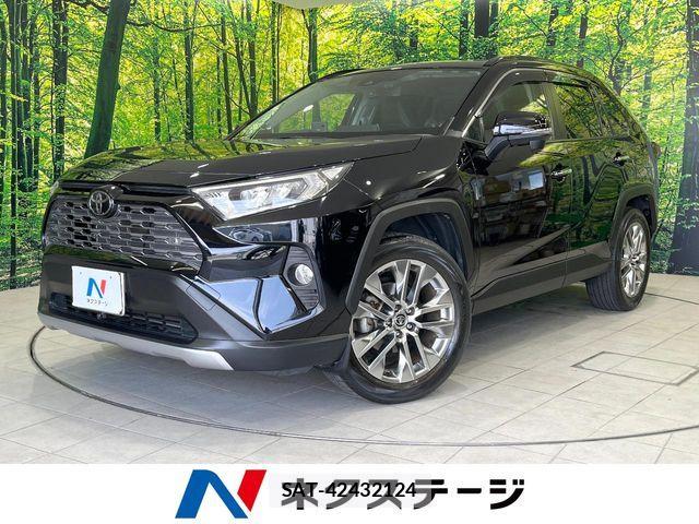 Toyota RAV4 2019-10 6673347-0