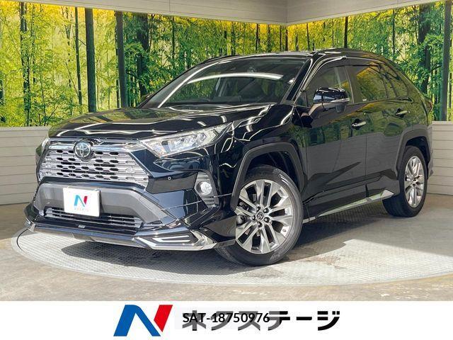 Toyota RAV4 2019-09 6673336-0
