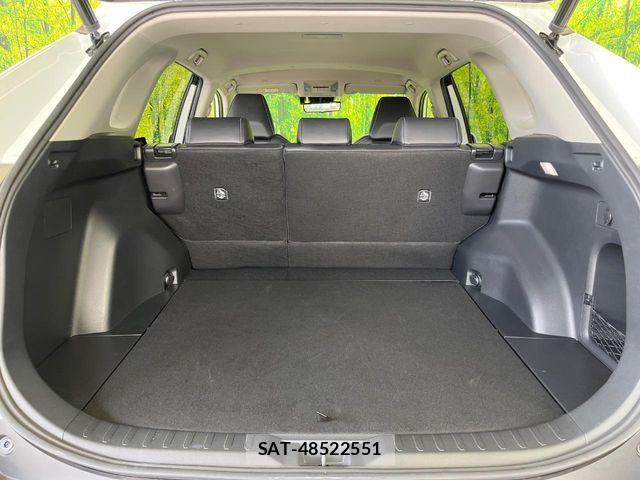 Toyota RAV4 2023-10 6816812-10