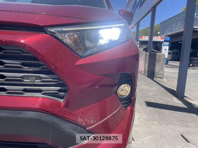 Toyota RAV4 2019-04 6911892-22