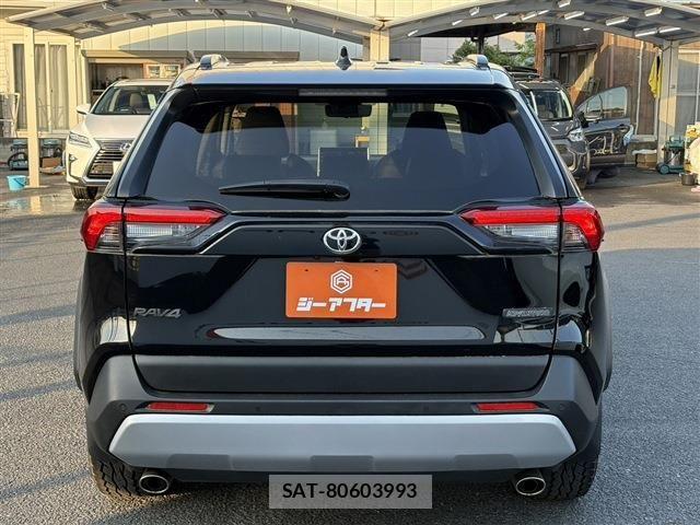 Toyota RAV4 2020-10 6911875-10