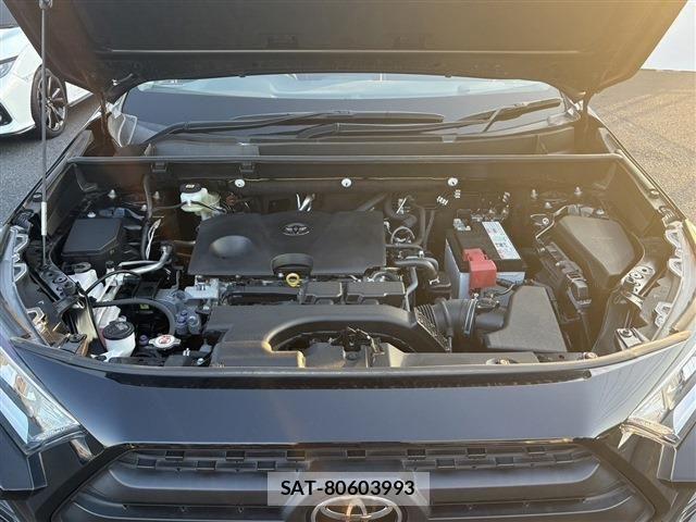 Toyota RAV4 2020-10 6911875-20