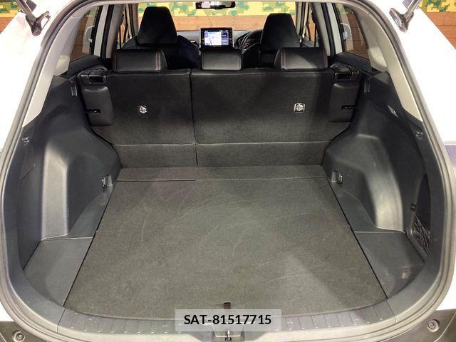 Toyota RAV4 2021-04 6997664-10