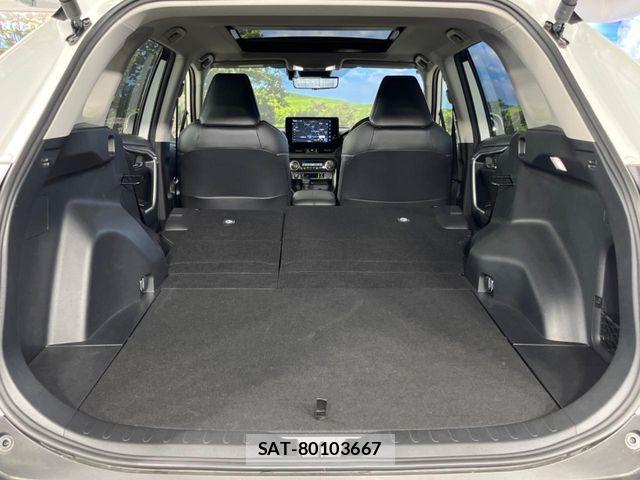Toyota RAV4 2025-04 7060418-10