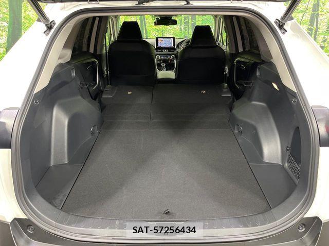 Toyota RAV4 2021-03 7060425-10