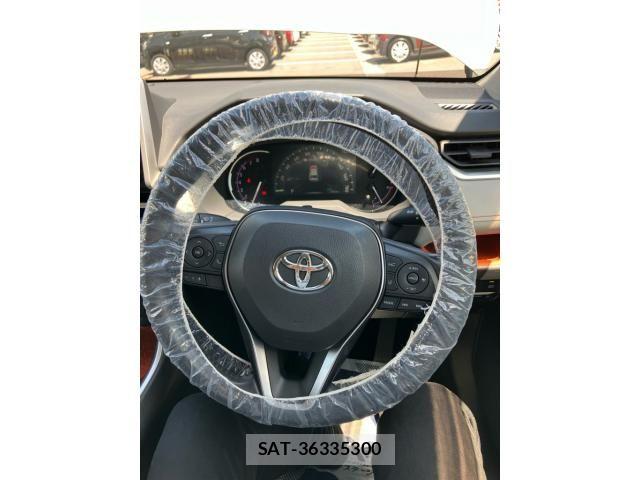 Toyota RAV4 2019-07 7224076-16